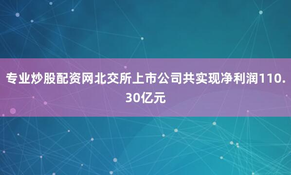 专业炒股配资网北交所上市公司共实现净利润110.30亿元