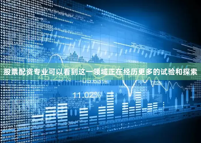 股票配资专业可以看到这一领域正在经历更多的试验和探索