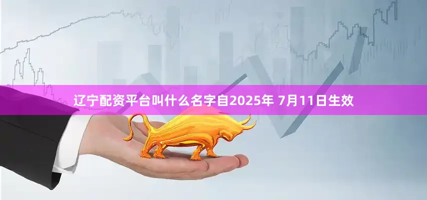 辽宁配资平台叫什么名字自2025年 7月11日生效