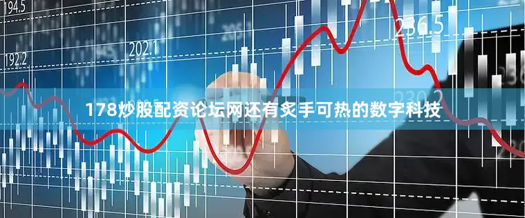 178炒股配资论坛网还有炙手可热的数字科技