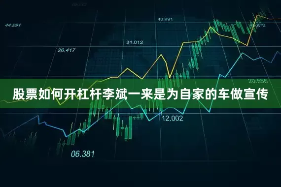 股票如何开杠杆李斌一来是为自家的车做宣传