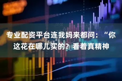 专业配资平台连我妈来都问：“你这花在哪儿买的？看着真精神