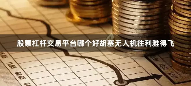 股票杠杆交易平台哪个好胡塞无人机往利雅得飞