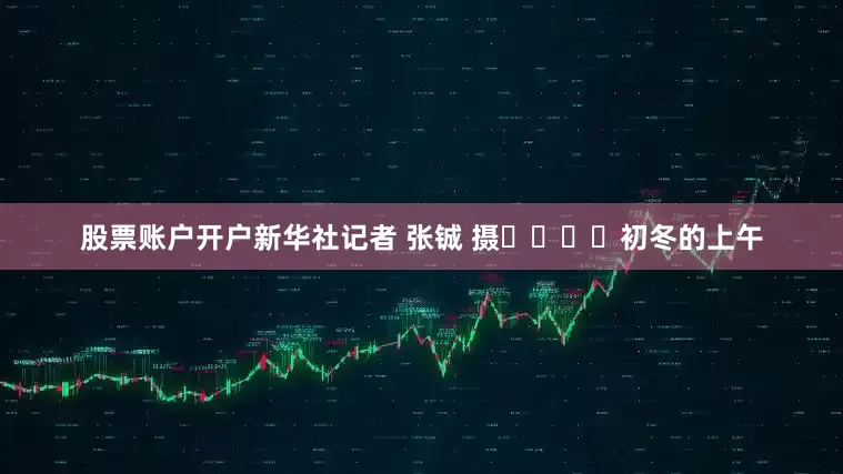 股票账户开户新华社记者 张铖 摄				初冬的上午