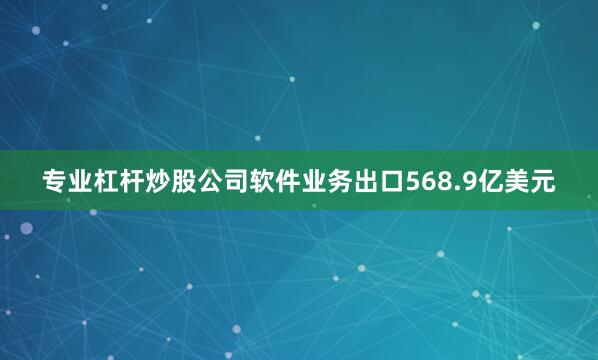 专业杠杆炒股公司软件业务出口568.9亿美元