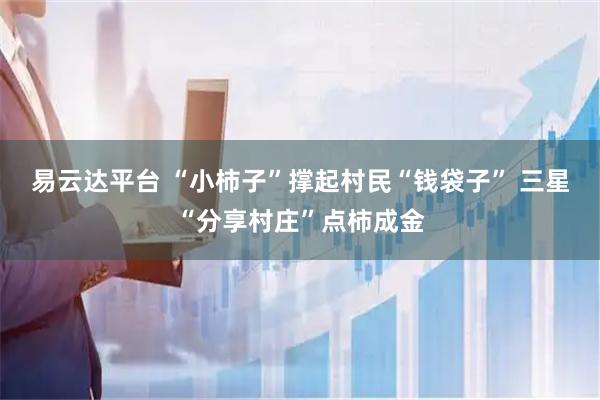 易云达平台 “小柿子”撑起村民“钱袋子” 三星“分享村庄”点柿成金