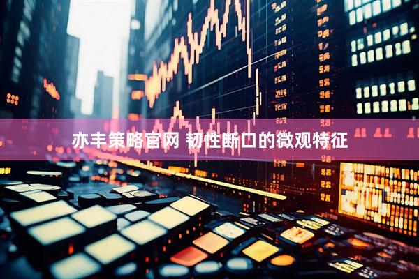 亦丰策略官网 韧性断口的微观特征