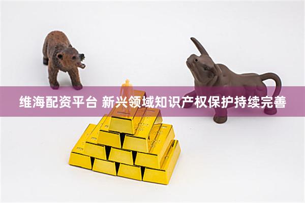 维海配资平台 新兴领域知识产权保护持续完善